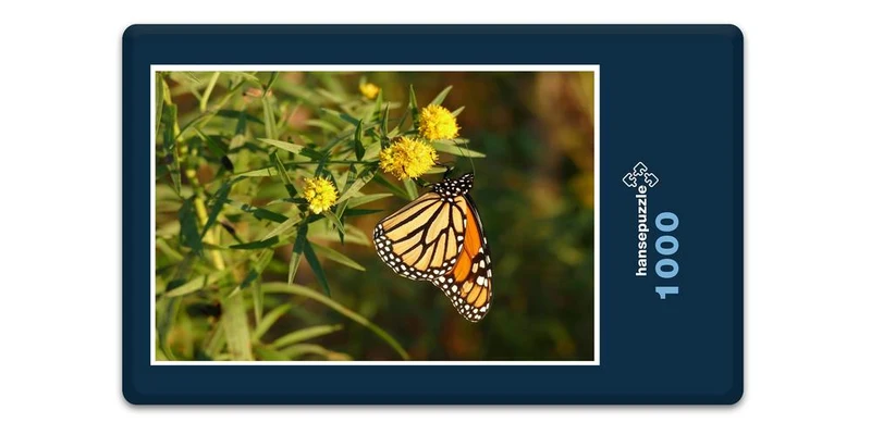 18683 Tierwelt - Schmetterling Puzzle