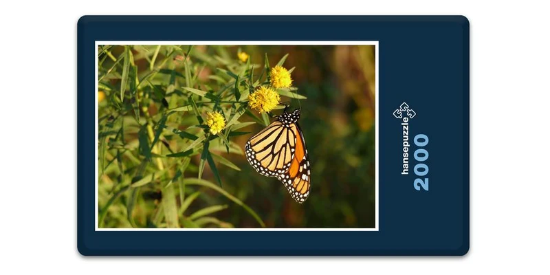 18683 Tierwelt - Schmetterling Puzzle