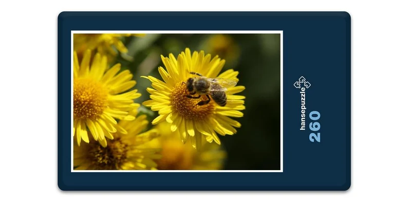 18678 Tierwelt - Biene auf Blüte Puzzle