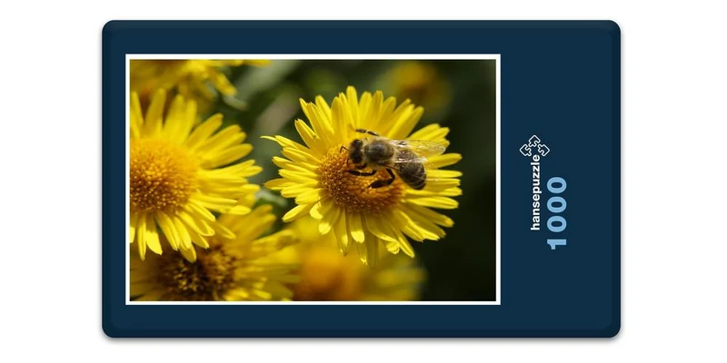 18678 Tierwelt - Biene auf Blüte Puzzle