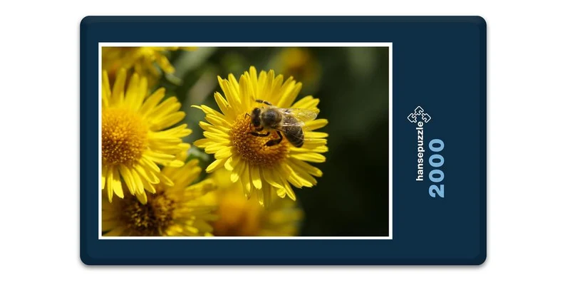18678 Tierwelt - Biene auf Blüte Puzzle