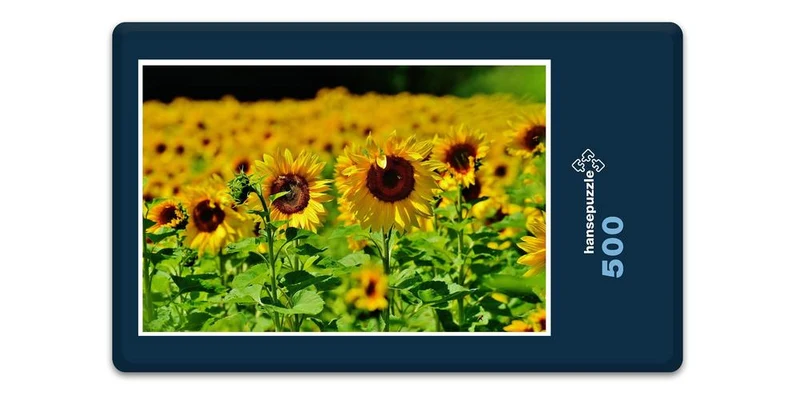 18663 Natur - Sonnenblume Puzzle