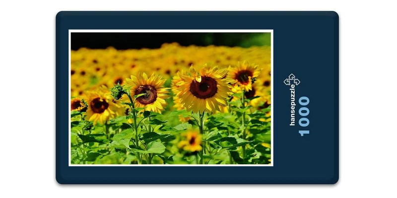 18663 Natur - Sonnenblume Puzzle