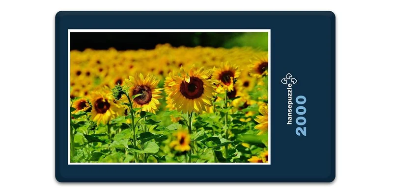 18663 Natur - Sonnenblume Puzzle