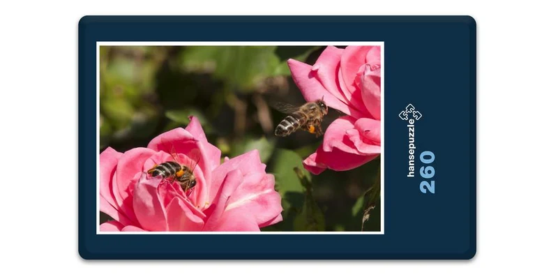 18658 Tierwelt - Biene auf Blüte Puzzle