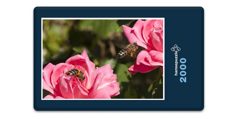 18658 Tierwelt - Biene auf Blüte Puzzle