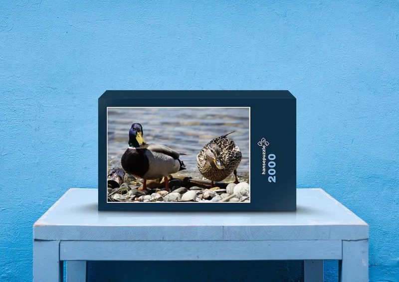 22384 Tierwelt - Enten-Paar Puzzle