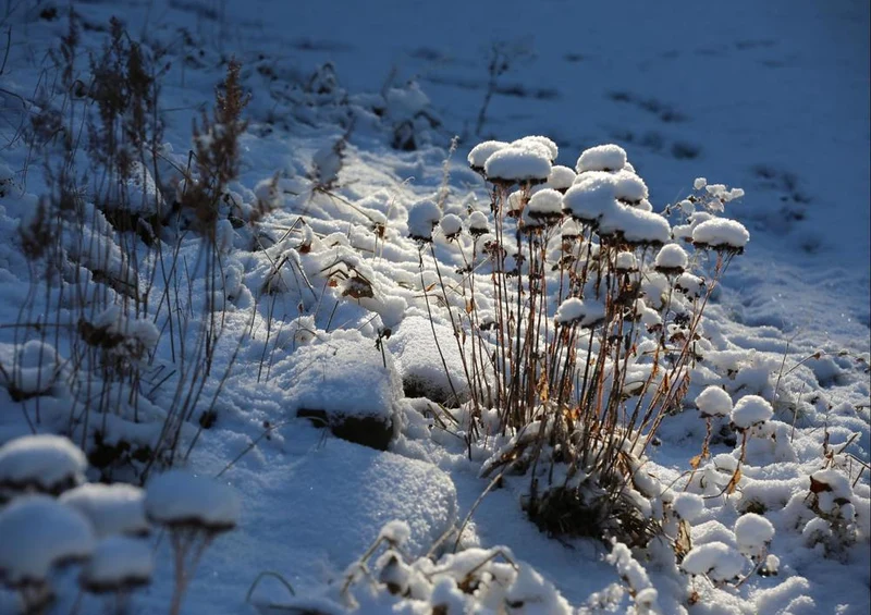 24027 Natur - Winterlandschaft Puzzle