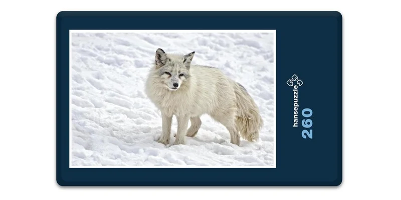 18516 Tierwelt - Polarfuchs Puzzle