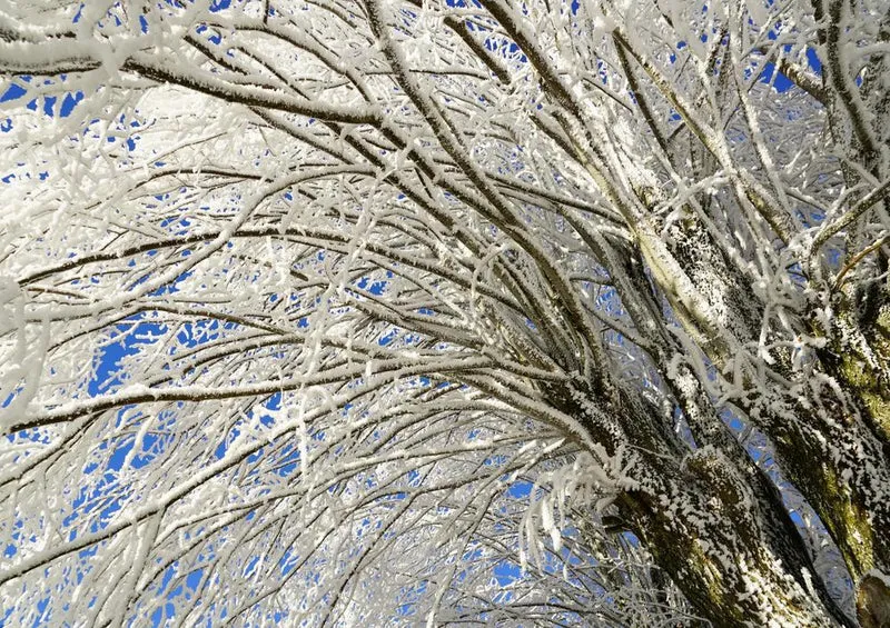 18511 Natur - Schnee-Baum Puzzle