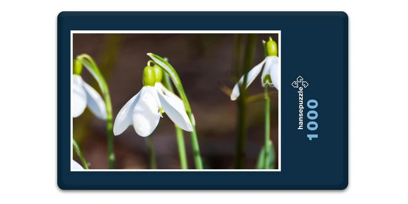 18510 Natur - Maiglöckchen Puzzle