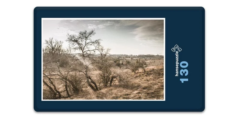 18537 Orte - Steppe Puzzle