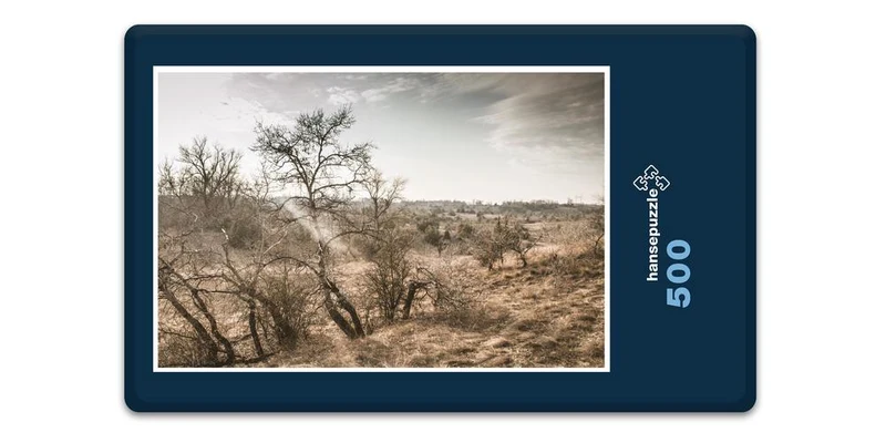 18537 Orte - Steppe Puzzle