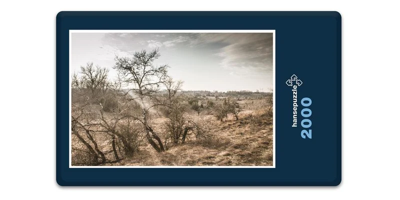18537 Orte - Steppe Puzzle