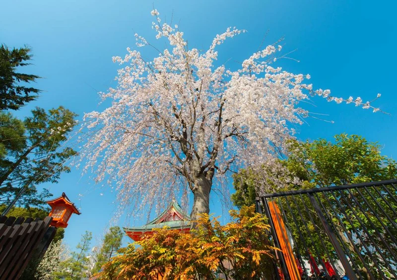 18533 Orte - Japanischer Garten Puzzle