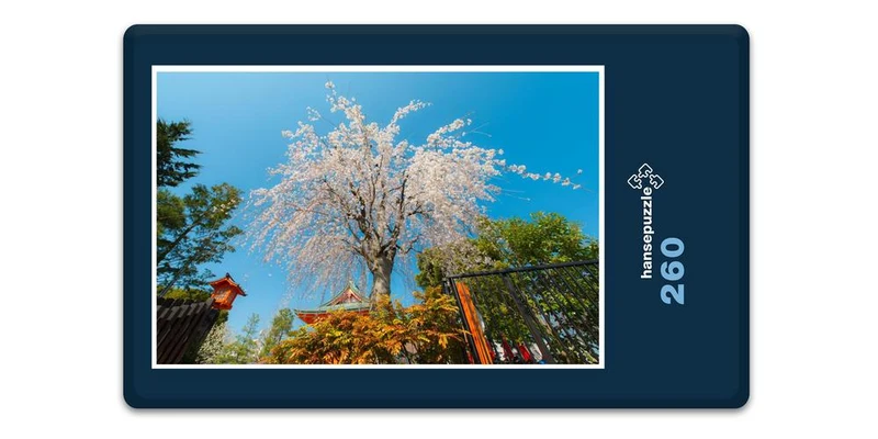18533 Orte - Japanischer Garten Puzzle