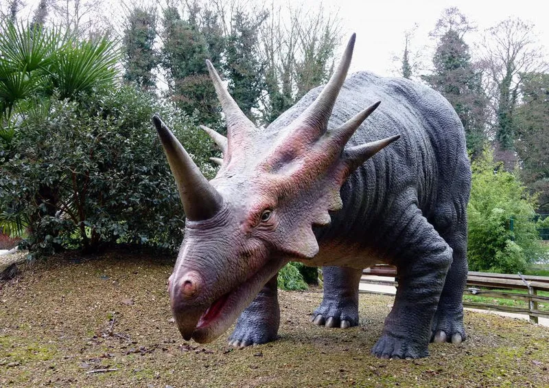18531 Orte - Styracosaurus Puzzle