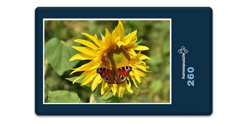 18614 Tierwelt - Schmetterling Puzzle