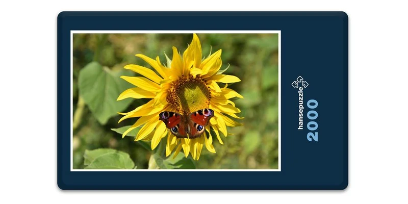 18614 Tierwelt - Schmetterling Puzzle