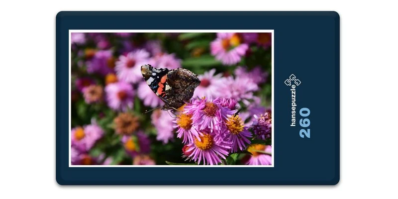 18613 Tierwelt - Schmetterling Puzzle