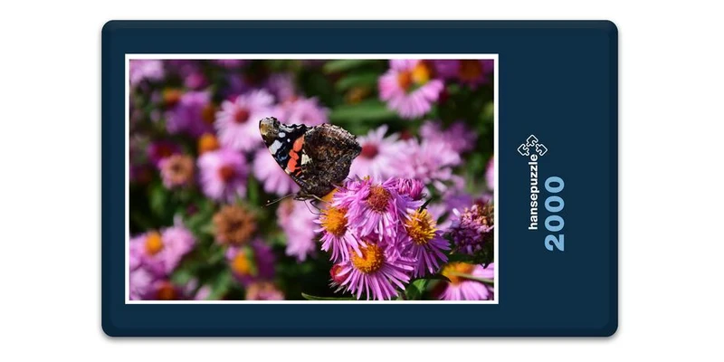 18613 Tierwelt - Schmetterling Puzzle