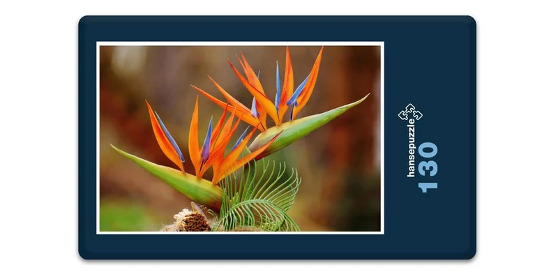 18612 Natur - Bird of Paradise Puzzle