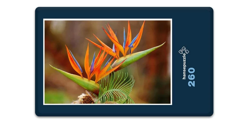 18612 Natur - Bird of Paradise Puzzle
