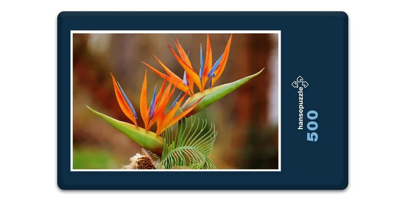 18612 Natur - Bird of Paradise Puzzle