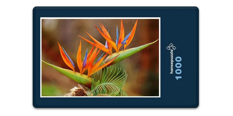 18612 Natur - Bird of Paradise Puzzle