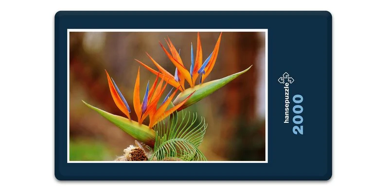 18612 Natur - Bird of Paradise Puzzle