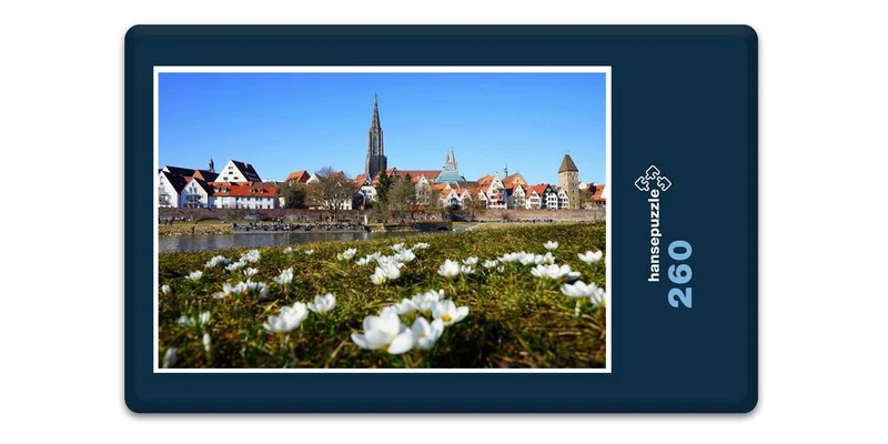 18610 Orte - Neu-Ulm Puzzle