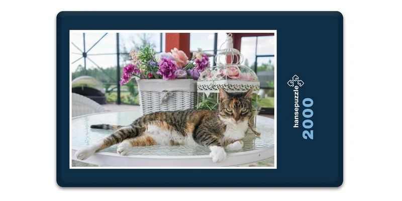 18607 Tierwelt - Katze Puzzle