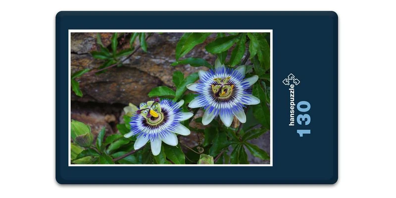 18595 Natur - Passionsblume Puzzle