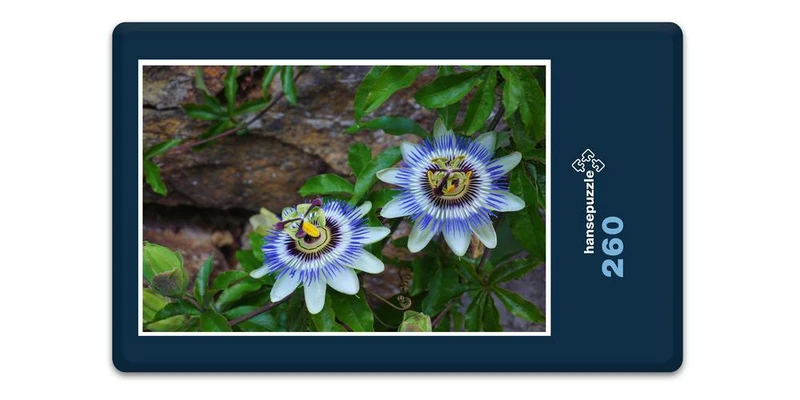 18595 Natur - Passionsblume Puzzle