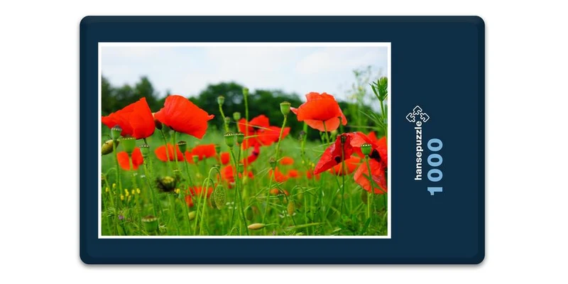 18594 Natur - Mohn-Wiese Puzzle