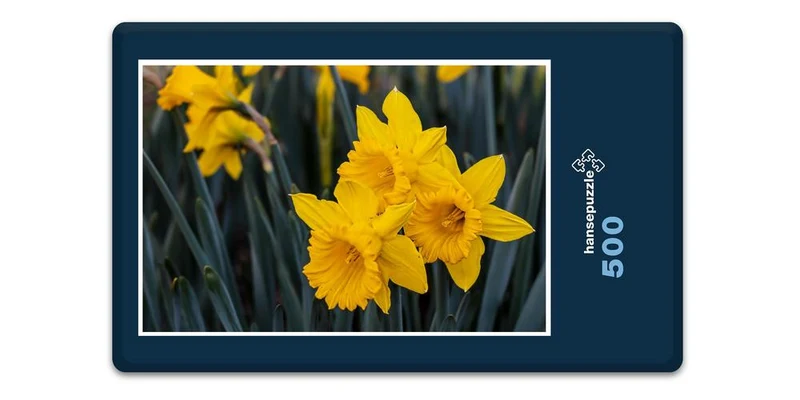 18592 Natur - Narzissen Puzzle