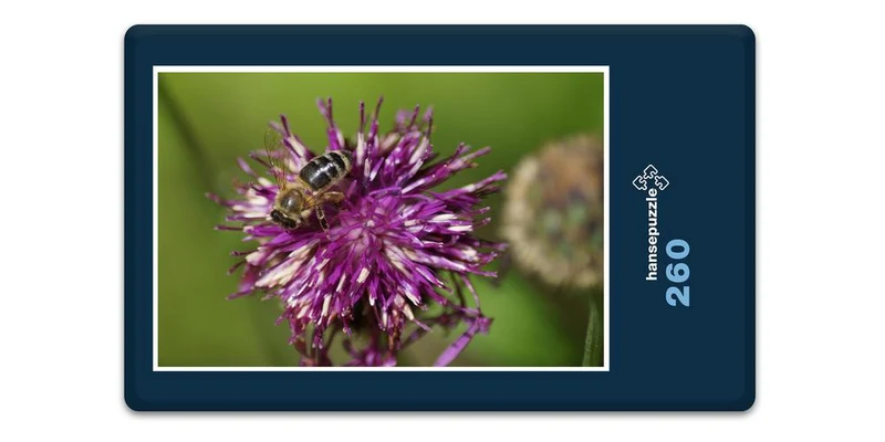 18591 Natur - Biene auf Blüte Puzzle