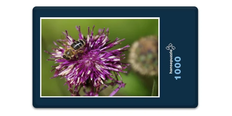 18591 Natur - Biene auf Blüte Puzzle
