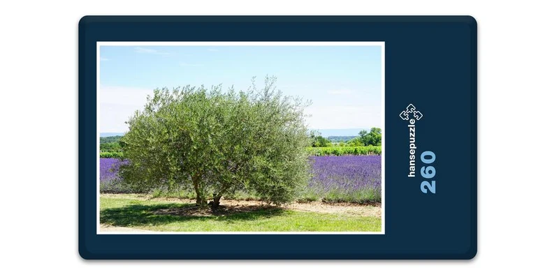 18590 Natur - Olivenbaum und Lavendel Puzzle