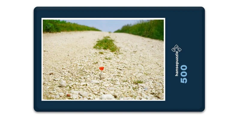 18589 Natur - Blume im Weg Puzzle