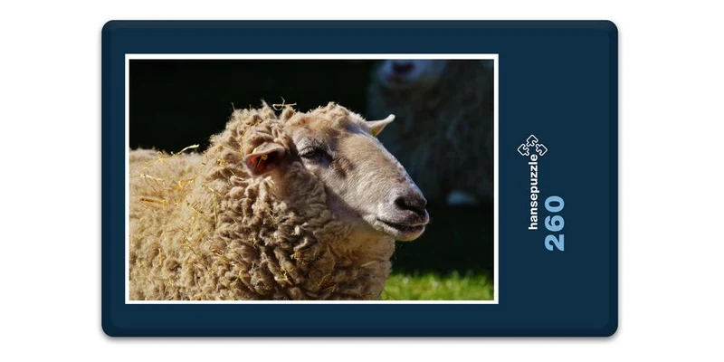 18508 Tierwelt - Schaf Puzzle