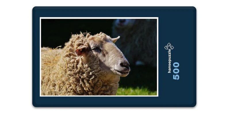 18508 Tierwelt - Schaf Puzzle