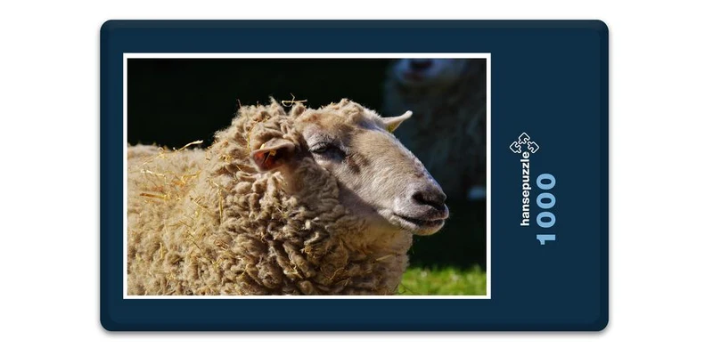18508 Tierwelt - Schaf Puzzle