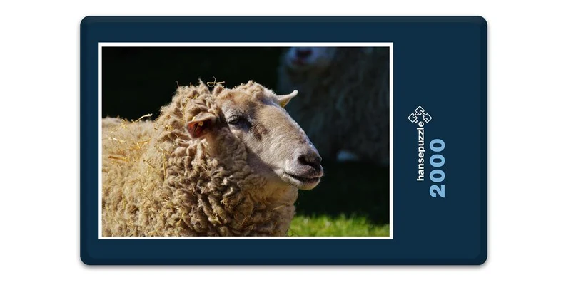 18508 Tierwelt - Schaf Puzzle