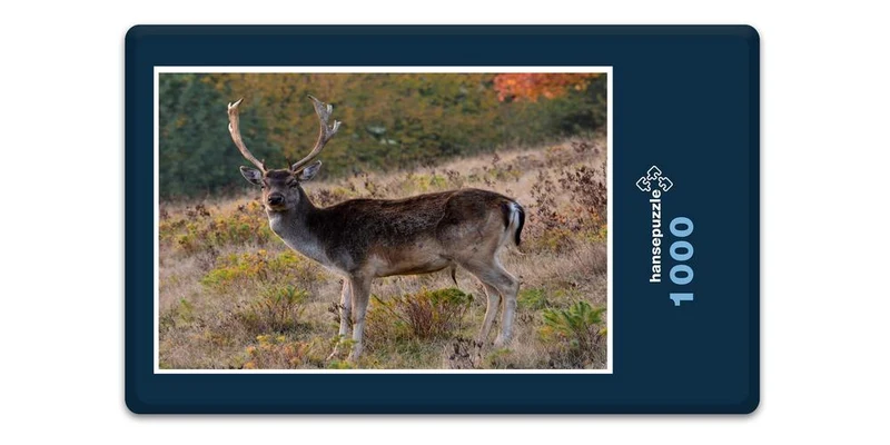 18507 Tierwelt - Hirsch Puzzle