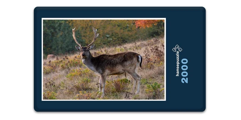 18507 Tierwelt - Hirsch Puzzle