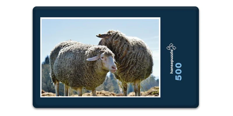 18506 Tierwelt - Schafe auf Weide Puzzle