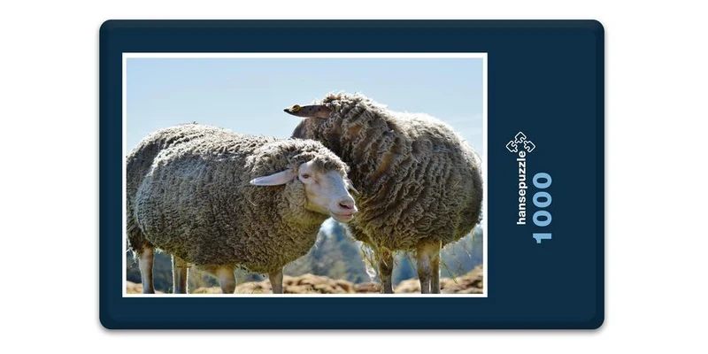 18506 Tierwelt - Schafe auf Weide Puzzle