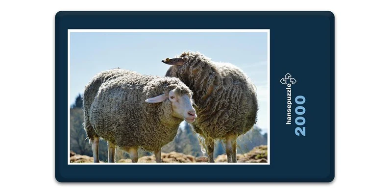18506 Tierwelt - Schafe auf Weide Puzzle