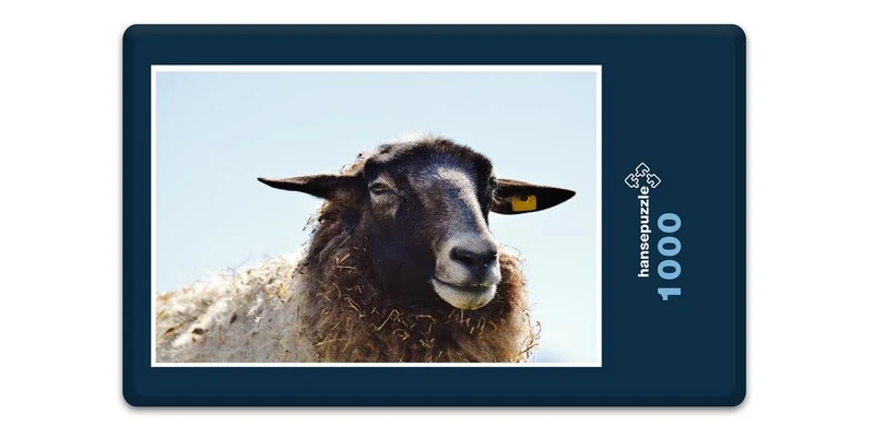 18505 Tierwelt - Schaf Puzzle